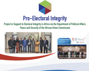 Pro Electoral Integrity Project Resume 